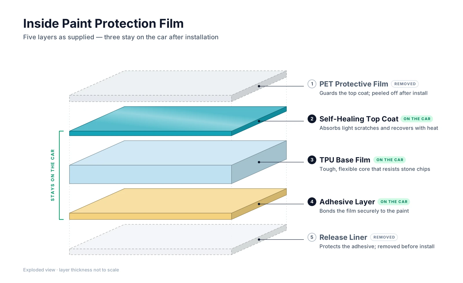 Cross-section of paint protection film showing its five layers