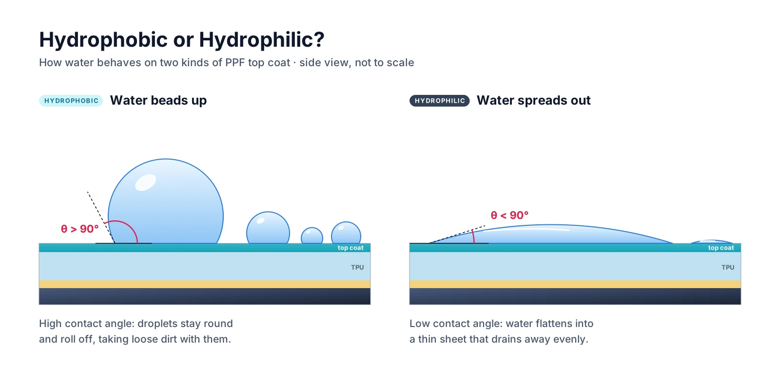 Water beading on hydrophobic PPF next to water sheeting on hydrophilic PPF